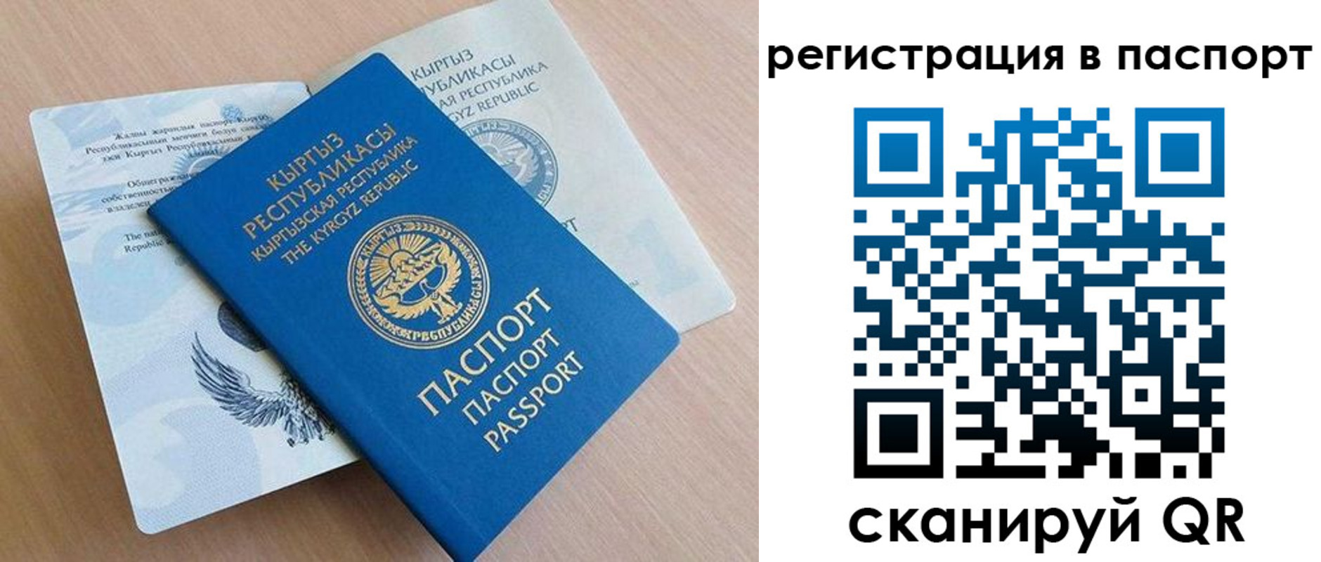 прописка законно в Поворино